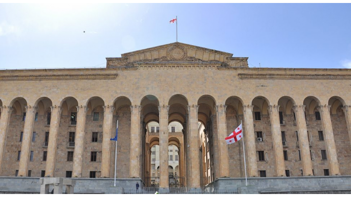 უფლებამოსილებანი ბავშვის უფლებების დაცვისა და მხარდაჭერის სფეროებში – საქართველოს პარლამენტის უფლებამოსილება